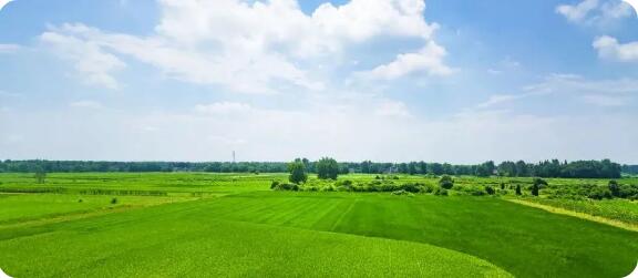 如何申請(qǐng)綠色食品標(biāo)志許可？